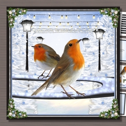 Robins at Christmas