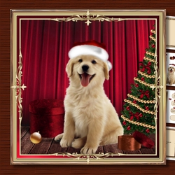 Christmas Labrador