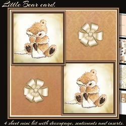 Little Bear mini kit
