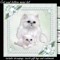 Cat and kitten mini kit