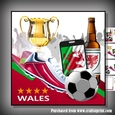Wales Football mini kit