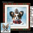 Christmas puppies