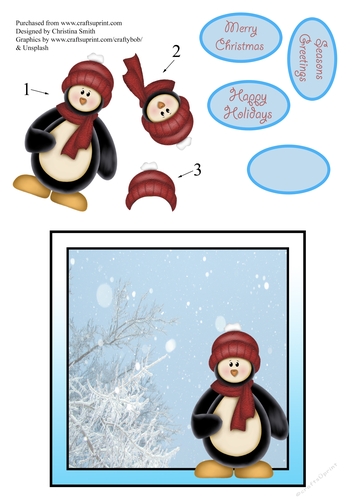 Penguin 6x6 inch Card Front With decoupage