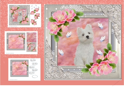 Lovely White Dog