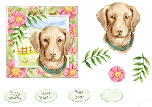Doggies 1