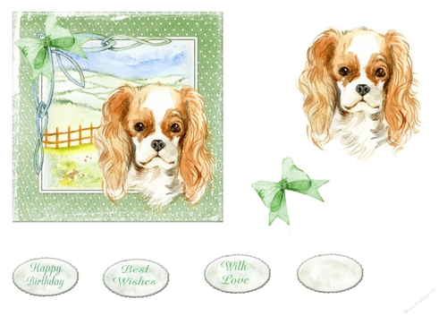 Doggies 5