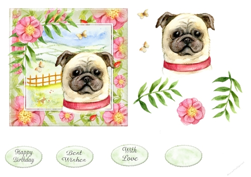 Dog and Butterflys