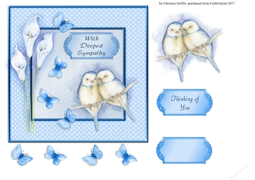 Birds and Butterfly