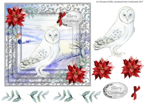 Snowy Owl