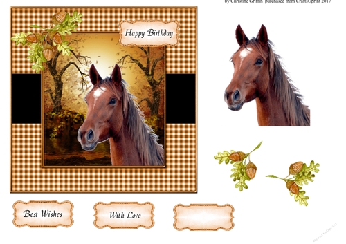 Lovely Horse