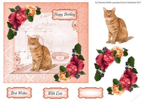 Lovely Cat 1