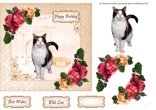 Lovely Cat 2