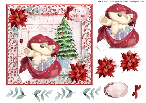 The Christmas Surprise