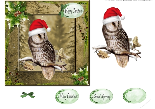 Happy Christmas Owl