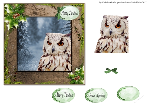 Christmas Owl 2