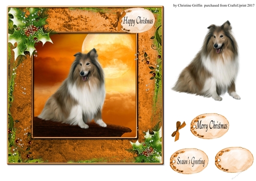 Christmas Collie