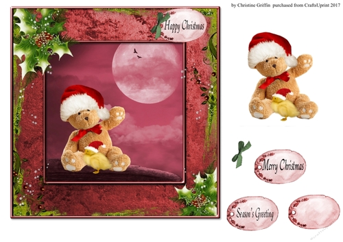 Christmas Teddy & Chick