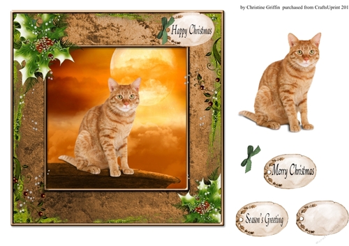 Cute Christmas Cat