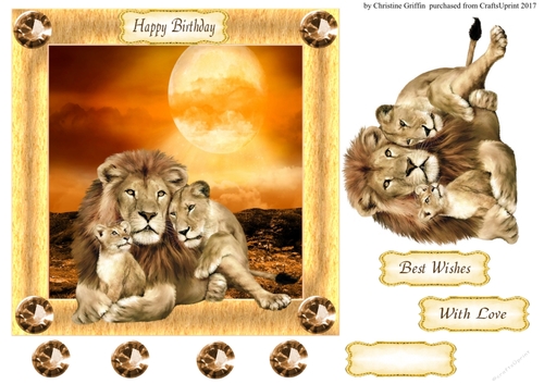 Lion Family