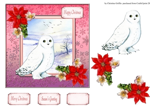 Snowy Owl 2