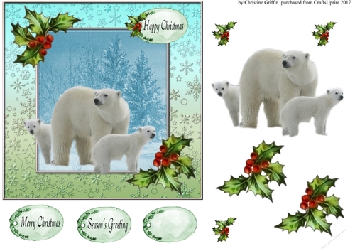 The Polar Bear Family