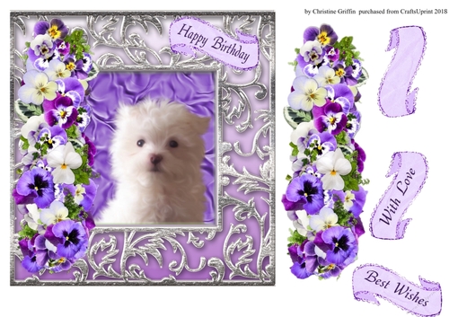 Beautiful Dog 4