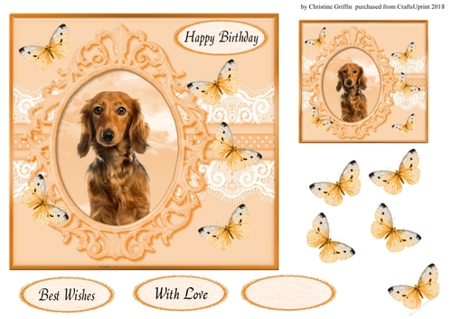 Cute Dog & Butterflies