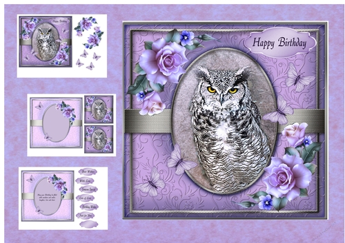 Portrait of an Owl