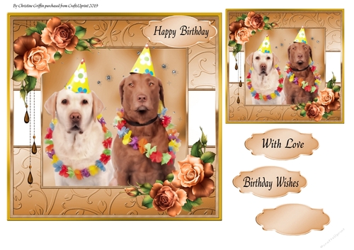 Birthday Party