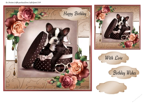 Birthday Dog