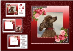Brown Poodle