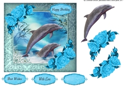 Dolphins
