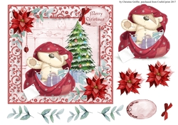 The Christmas Surprise