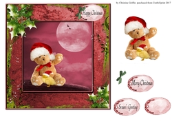 Christmas Teddy & Chick