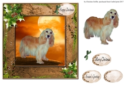 Christmas Spaniel
