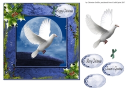 Peace on Earth