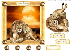 Lion Family