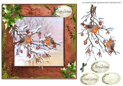 Two Christmas Robin 2