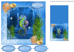 Beautiful Seahorse