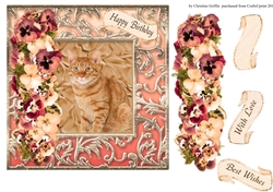Cute Cat 2