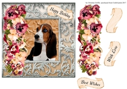 Beautiful Basset Hound