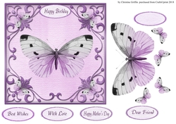 Pretty Butterfly 1