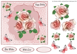 Pretty Coral Rose