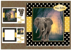 Lovely Elephant