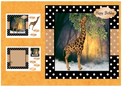 Lovely Giraffe