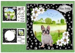 Dogs & Paws 1