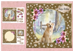 Dogs & Paws 4