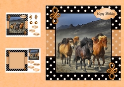 Galloping Wild Horses