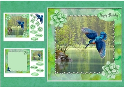 Kingfisher 