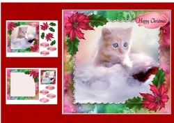 Cute Christmas Cat